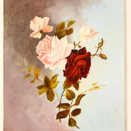 La Rosa Scarlatta Апартаменты Витербо